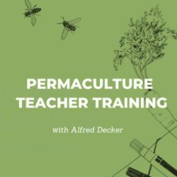 Permaculture Teacher Training 2026 @ Permaculture Barcelona Hub