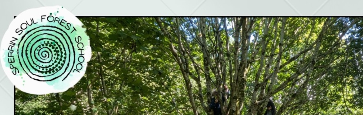 Forest School Themed Summer Camp