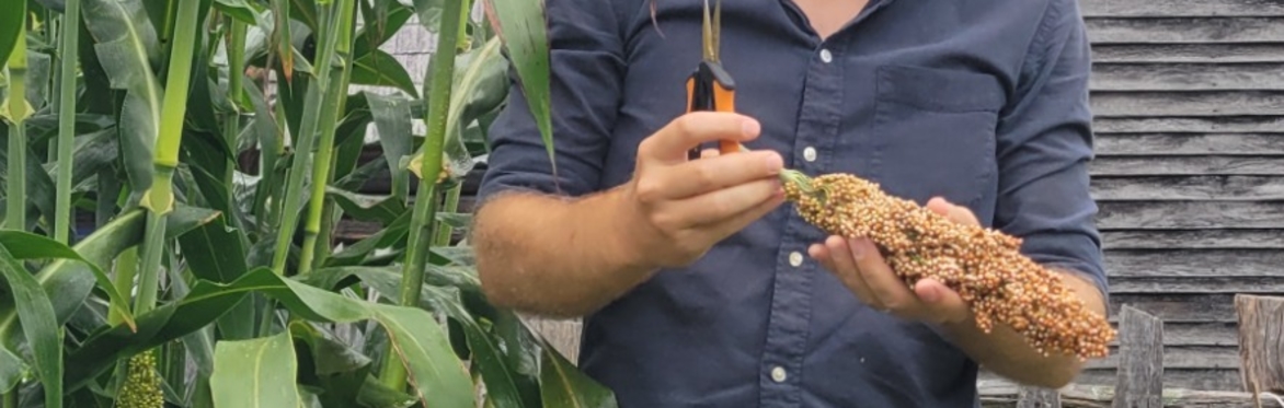 Out of the Weeds: Garden Maintenance 101