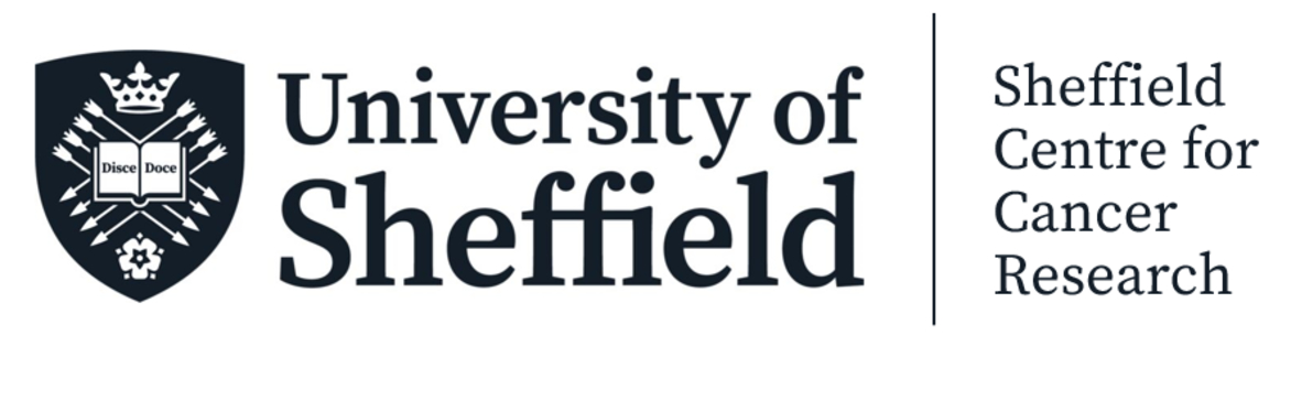 Cancer Research Sheffield University