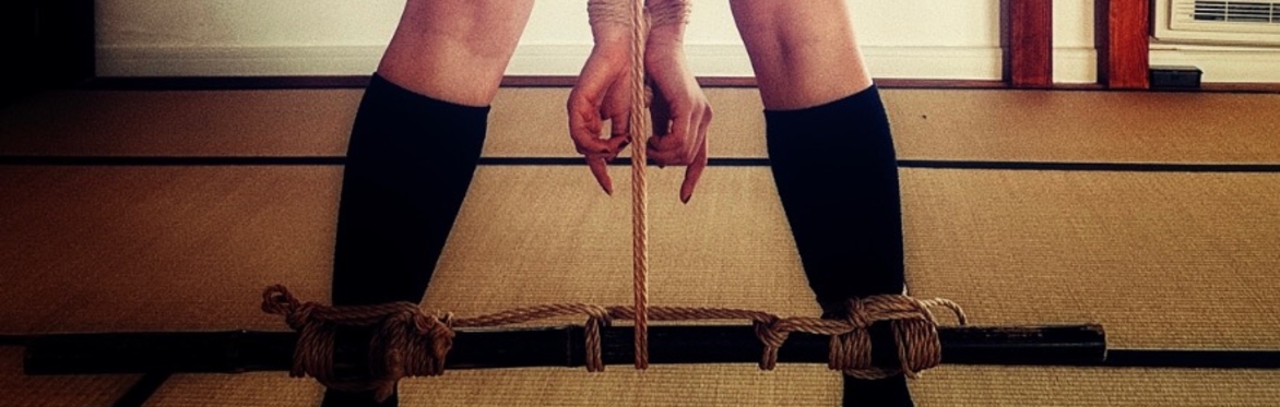 Learn Shibari -  Class 4: Predicaments & Spice  (improver+)