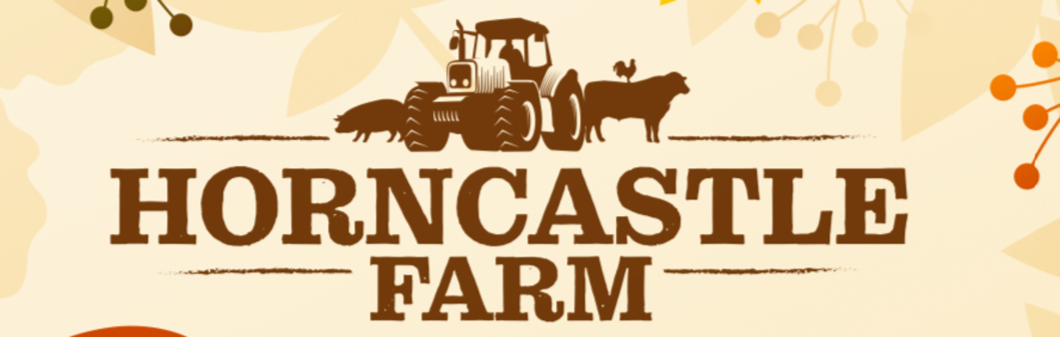 Pumpkin Picking @ Horncastle Farm