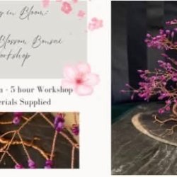 Tangled Wire Creations - Bonsai Tree
