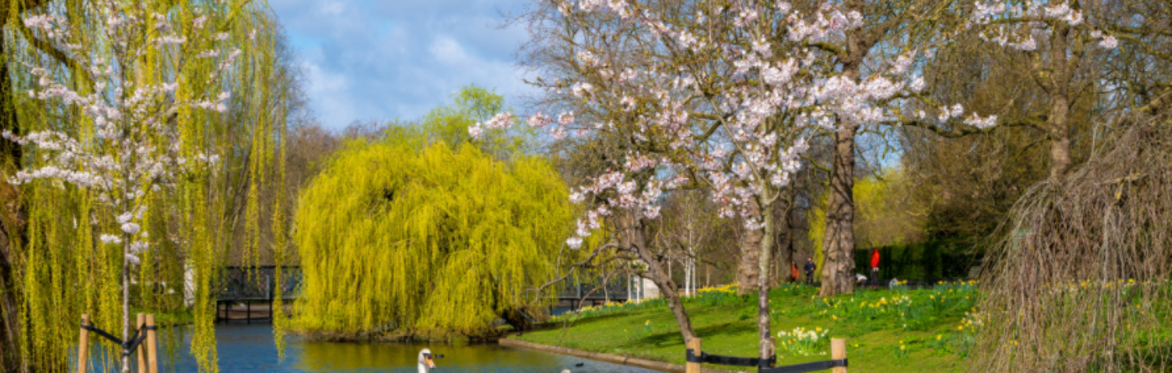 Regent's Park