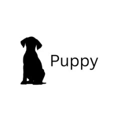 Sunday Puppy class - Start date 18th october 2026 - 9:30am-10:15am - WSM - 1st Milton Scout Hut