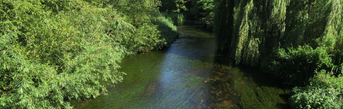 River Allen