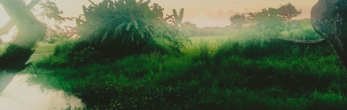 Deep Green Journey: Plant Meditations on Life’s Rhythms