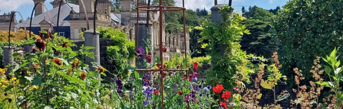 🌳 Grand Gardens & Gentle Wandering – Coach Club at Dyffryn