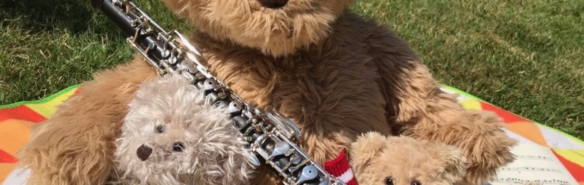 A Teddy Bear's Picnic - CHIPPENHAM