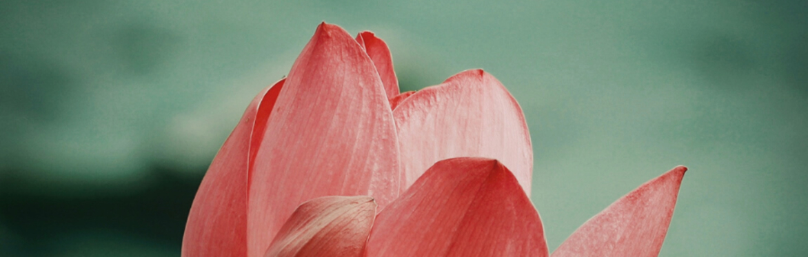 Quintessential Meditations (Thursday evening class)