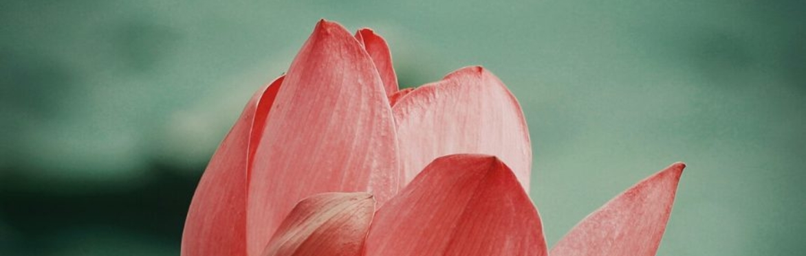 Quintessential Meditations (Thursday evening class)