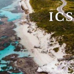 ICSMT