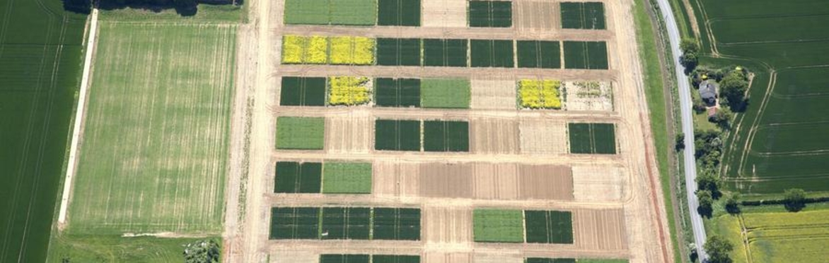 Crop protection and regenerative agriculture research insight tour