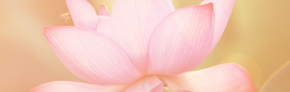 Meditations for Everyday Life