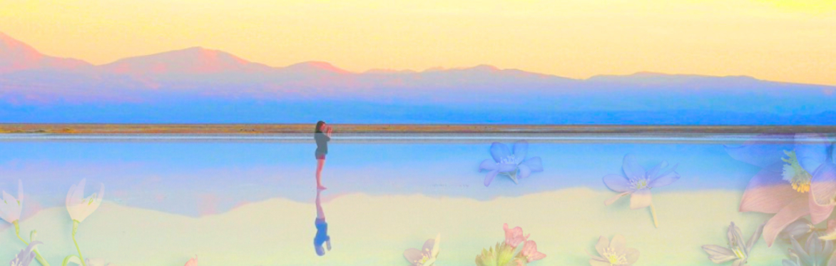 Ocean of Peace (Day Retreat)