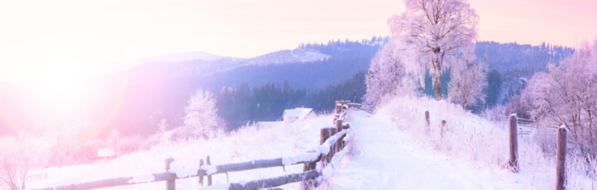The Secret to Happiness (Christmas Course)