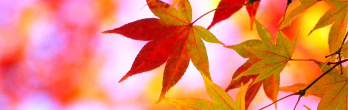 Changing our Direction (Fall Retreat)