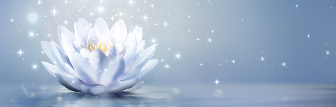 Simply Meditate (Half-day Retreat)