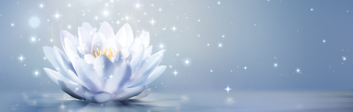 Simply Meditate (Half-Day Retreat)