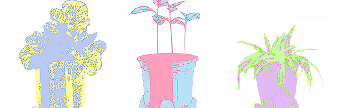 White Noise Theatre: PlantGays