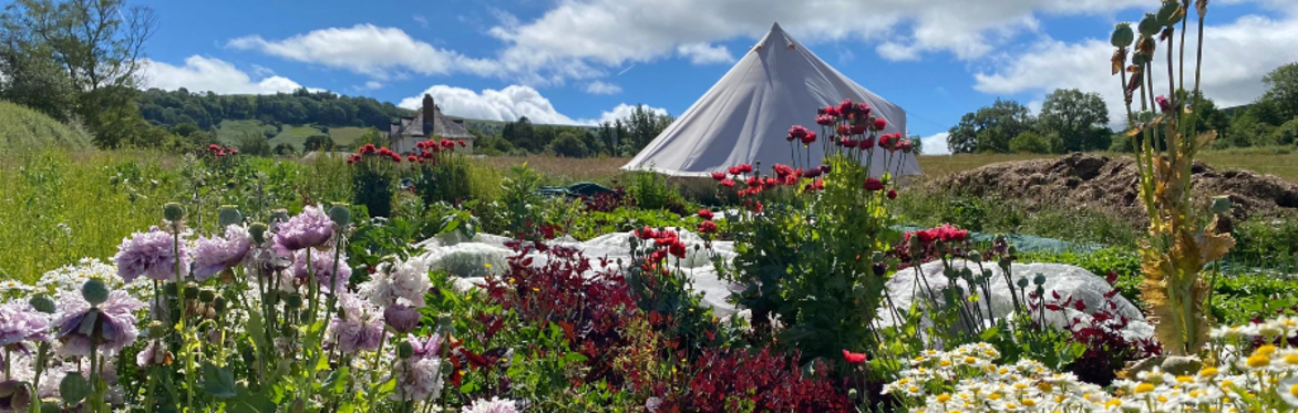 South and Mid Wales Regional Summer Gathering
