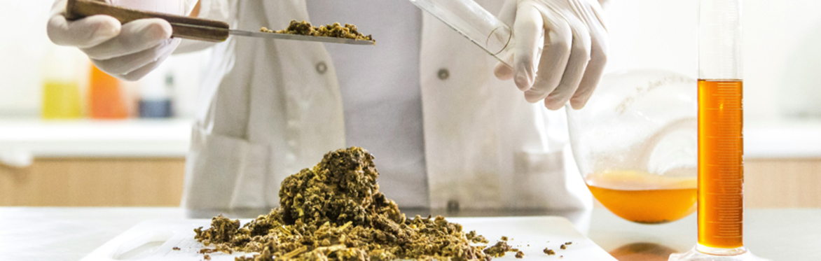 online herbal medicine course
