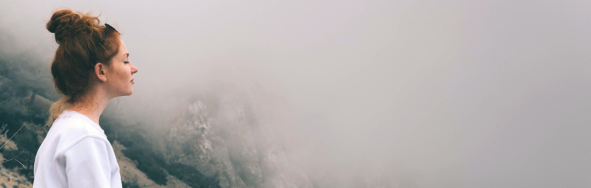 The Meditation Toolkit (Special Course)