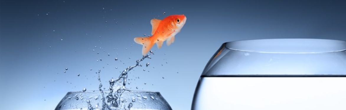 Overcoming Self-Limiting Beliefs