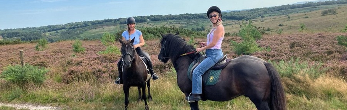🎉 Fiena Magic Day: Horses, Hikes & Heartfelt Connections🌲🐴✨
