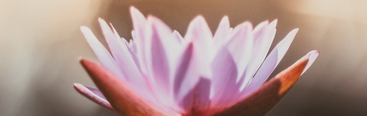 Meditation Basics (Thursday evening class)