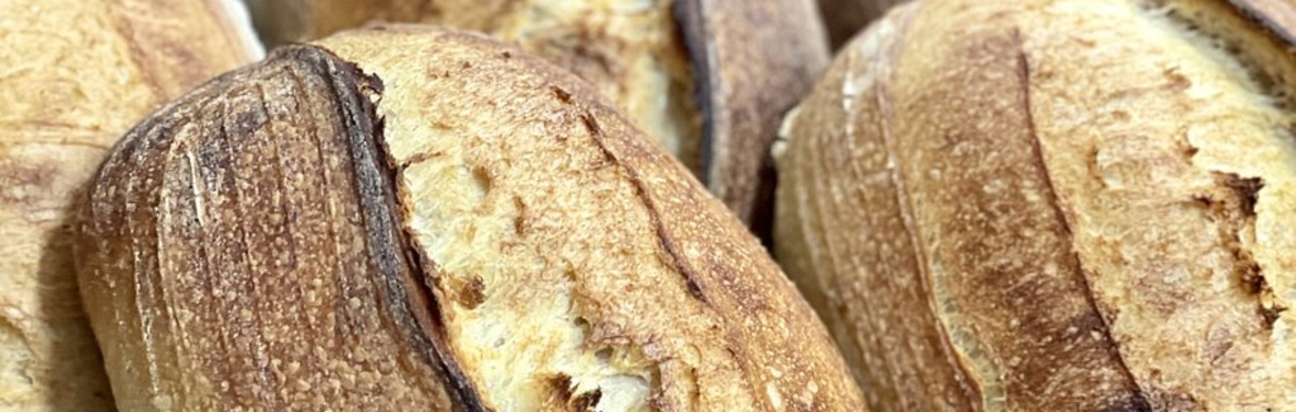 Early Bird Bakery