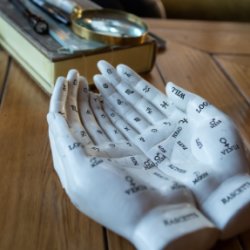 Palmistry Workshop: How To Read Your Hand