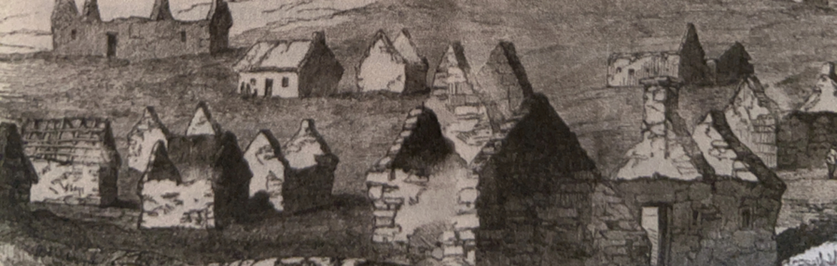 The Great Famine in the Parish of Castlehaven & Myross - a fresh look