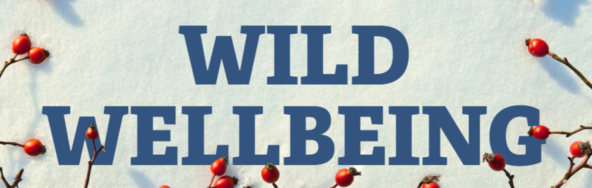 Seasonal berries with a snowy background, with the words "Wild Wellbeing" in blue