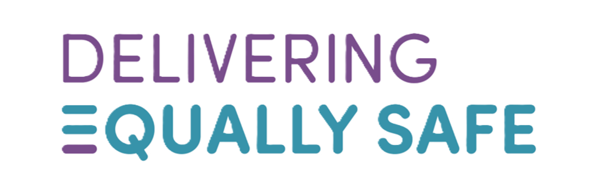 Delivering Equally Safe fund logo