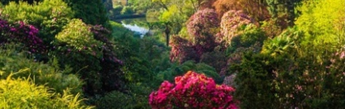 The Arts Society Cornish Riviera Summer Party