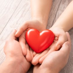 Preparing Your Heart For the Holidays - Nov. 25th Online