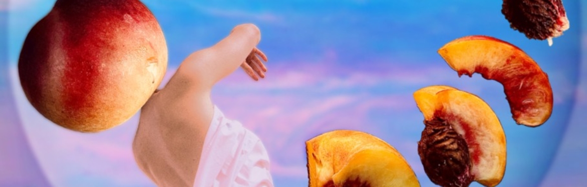 Bruised Peach Music Festival 2024