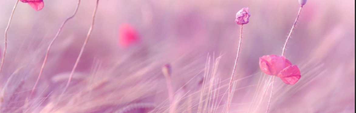 Parent/Carer Wellbeing (Free)