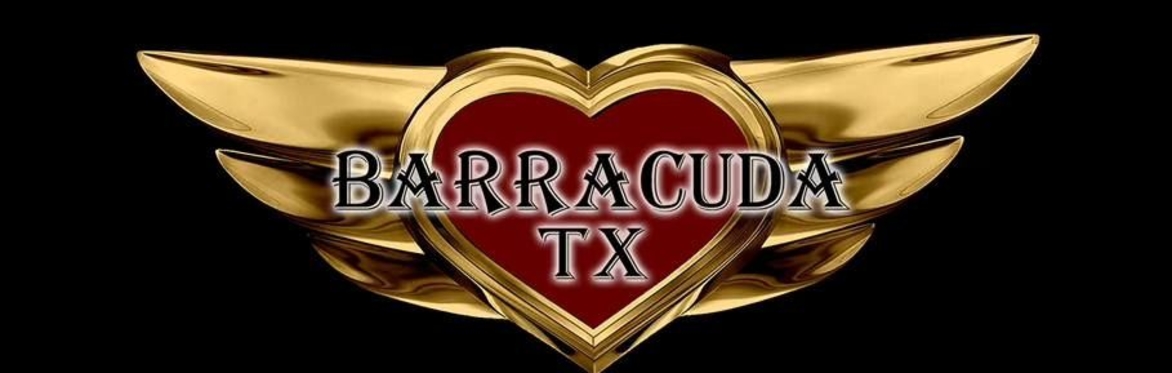 Barracuda, A Tribute to HEART