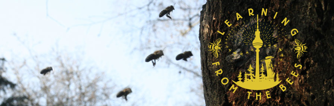 Learning from the Bees | Berlin 2019