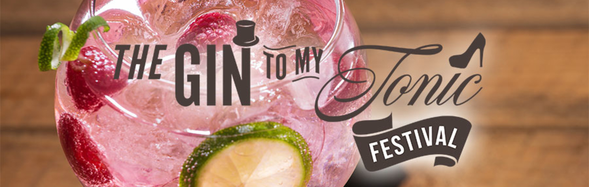 The Gin To My Tonic Festival Bristol 2019
