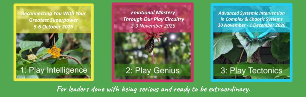 Playful Leadership programme made up of 3 courses