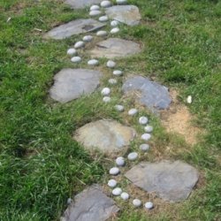 The Art of Belonging