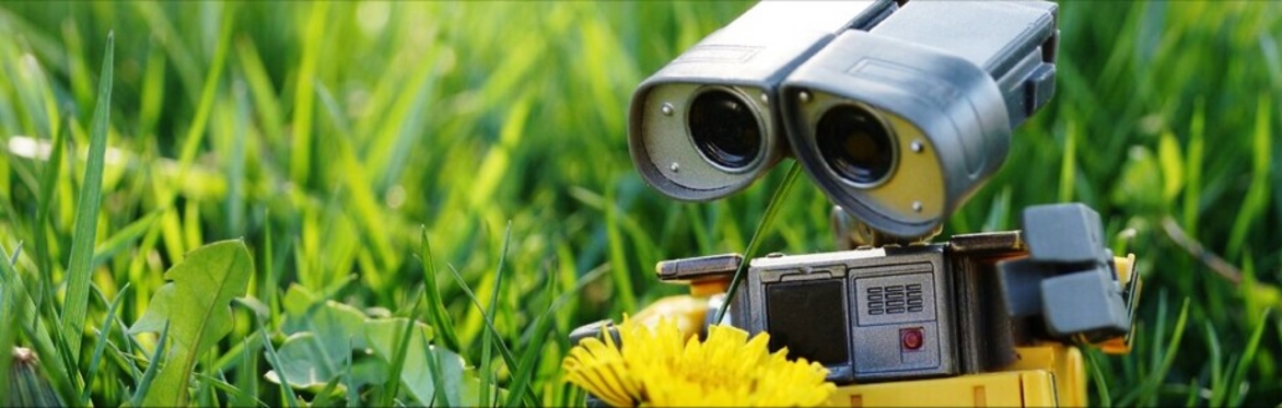On the Frontier: Robotics in Development