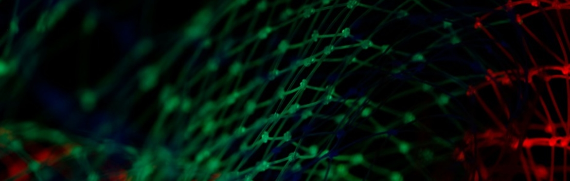 Spaces of Digitalising Societies - a public lecture from Leverhulme Visiting Professor Theodore Schatzki