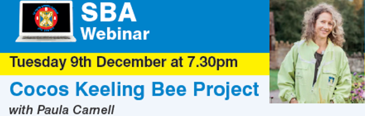 SBA Webinar title with picture of Paula Carnell