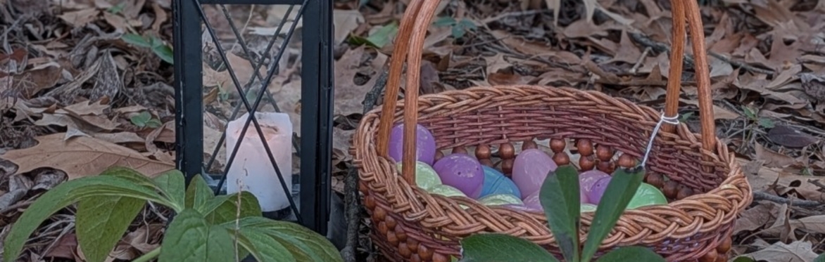 Gardens After Dark: Egg Hunt (21+)