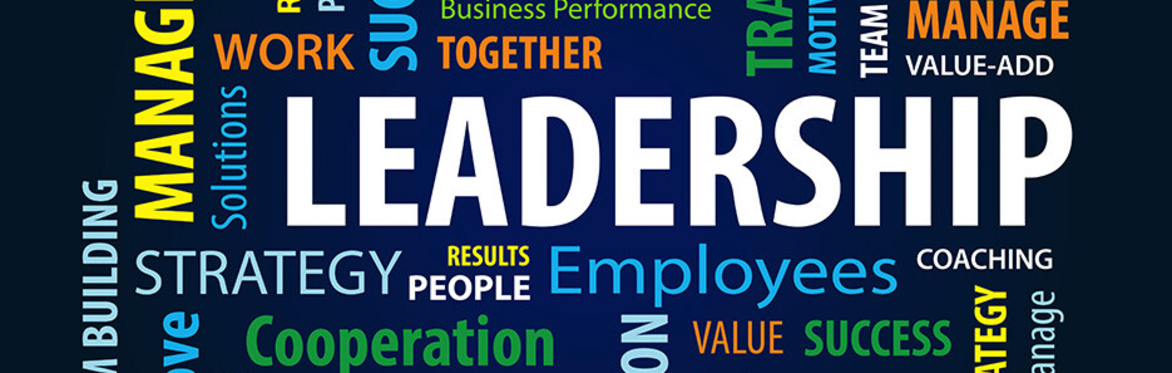 The Evolution of the Development Leader