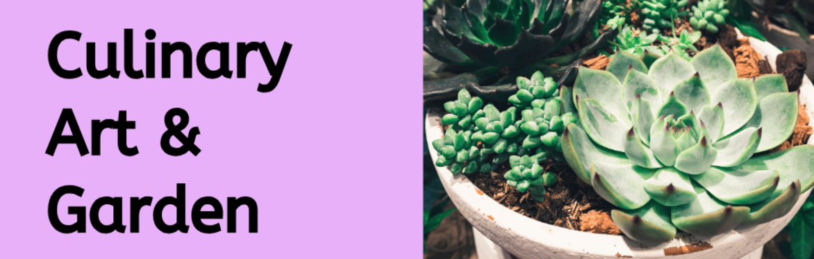 Class Name and photo of a succulent plant
